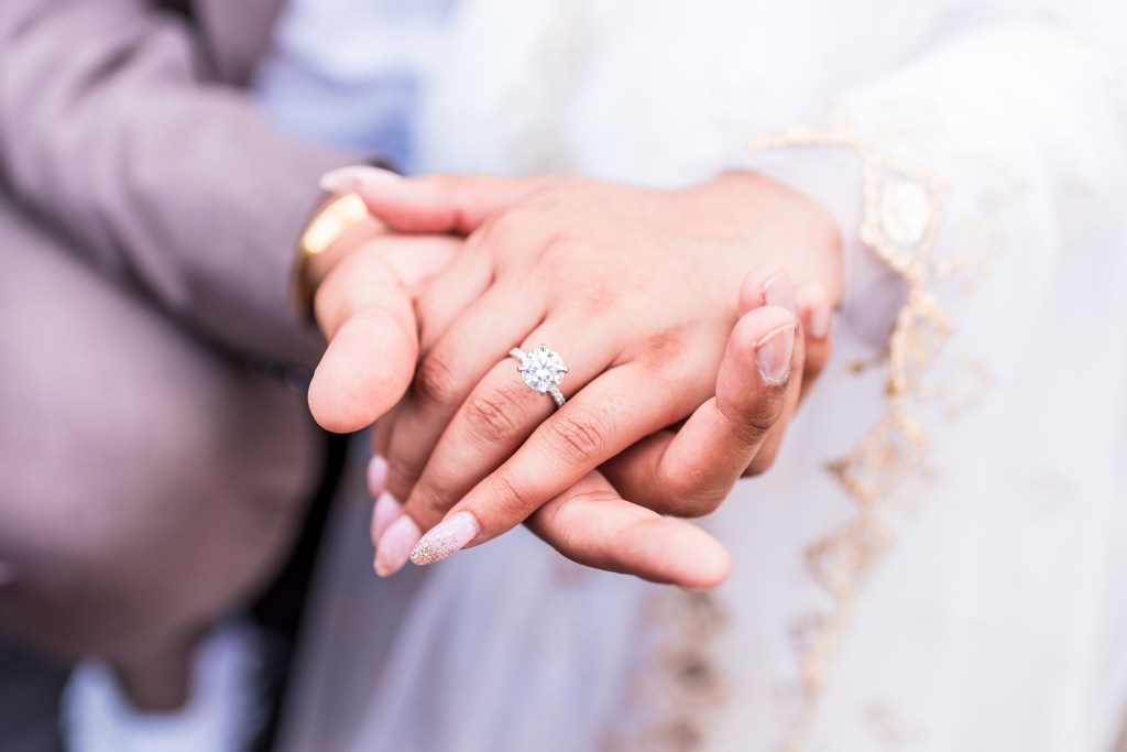 Gervasi engagement photos canton ohio indian couple